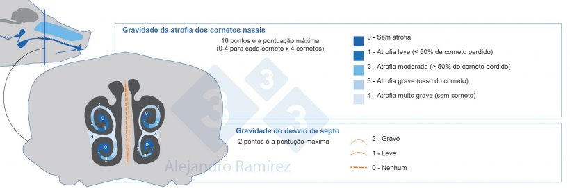 M&eacute;todo da Farmacopeia Europeia para avalia&ccedil;&atilde;o de les&otilde;es de cornetos.
