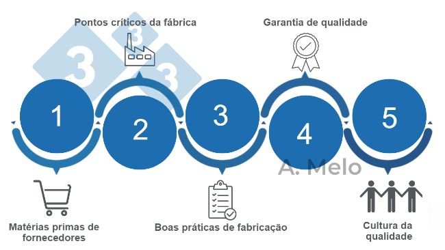 Figura 1. Os cinco pontos para alcançar a segurança na alimentação balanceada.
