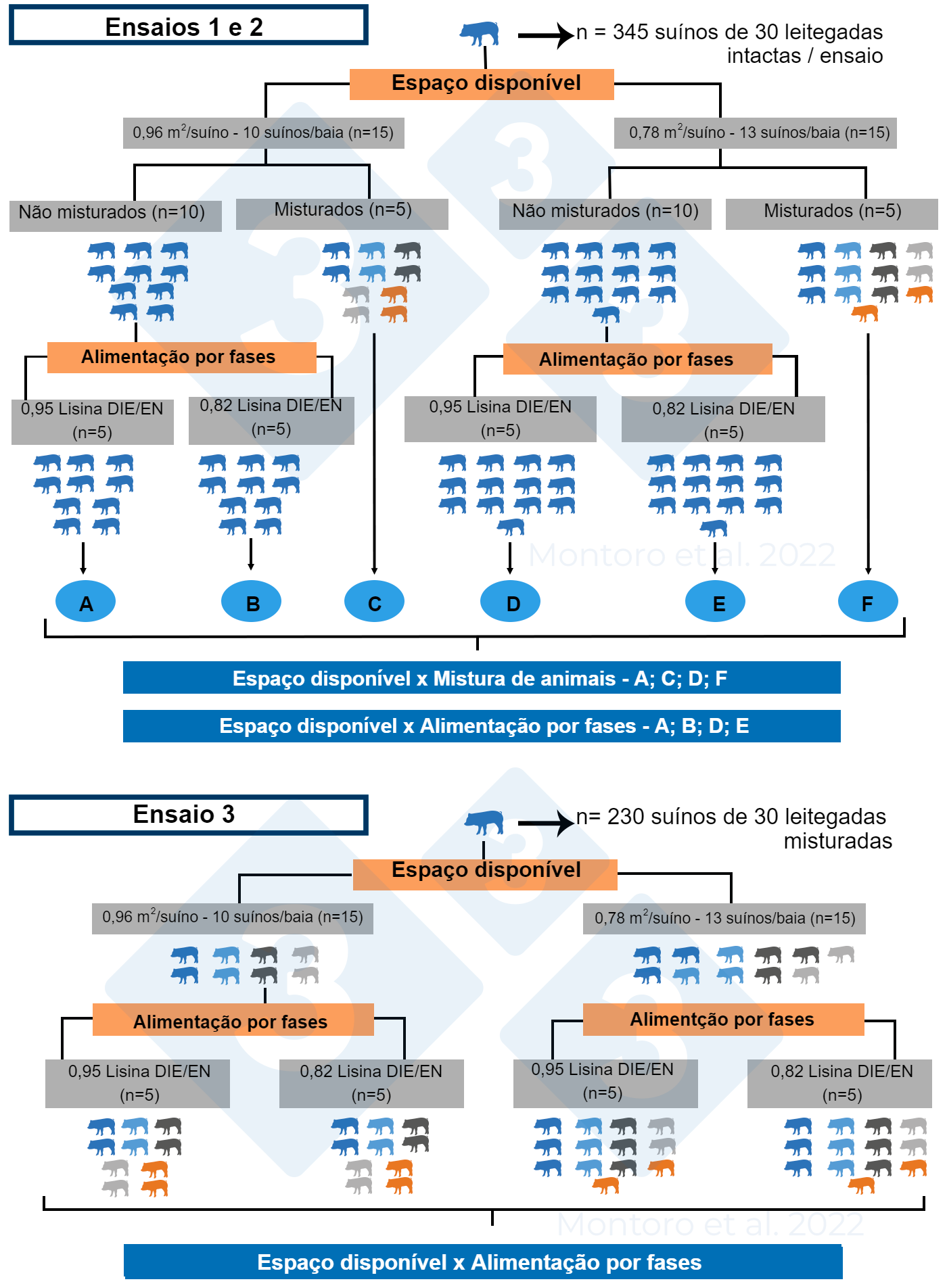 Ilustração esquemática do projeto experimental