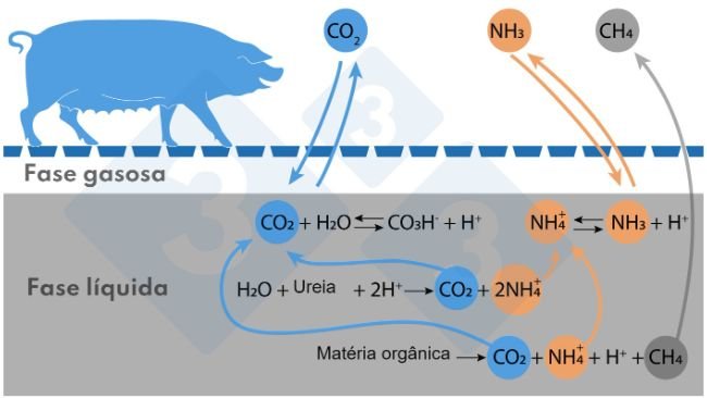 Figura. Esquema simplificado das reações que afetam as emissões de NH3 e CH4