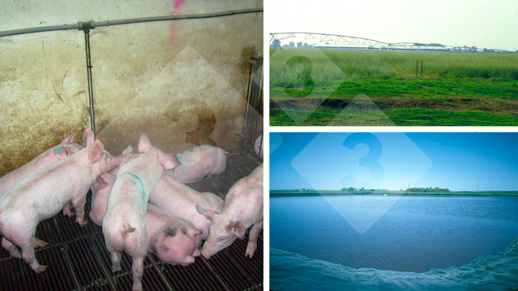 O manejo inadequado do bebedouro tem impacto negativo nos custos operacionais e no meio ambiente