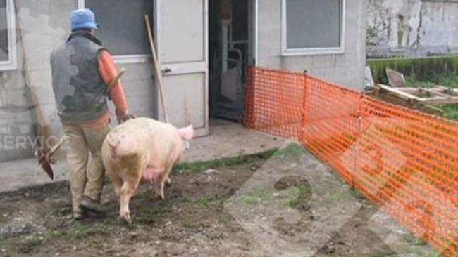 Um &uacute;nico trabalhador pode facilmente movimentar as matrizes.
