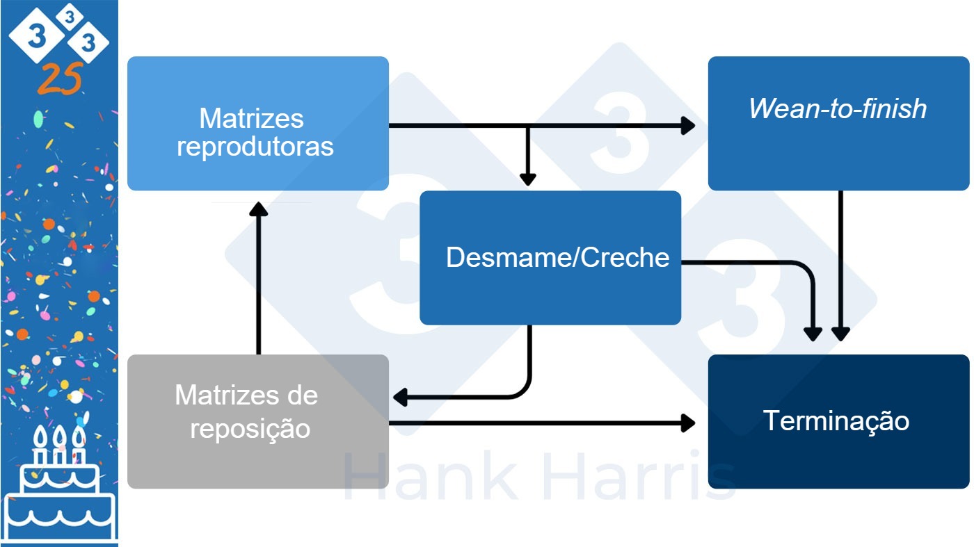 Produção suína por fases: avaliação do seu impacto após 25 anos