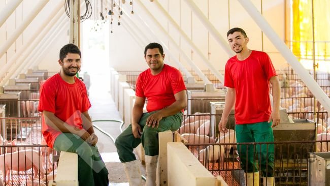 Quando os funcionários estão em um local seguro e confiável, geralmente se expressam abertamente sobre o que pensam, sentem e acreditam, fornecendo contribuições valiosas para melhorar o trabalho e os resultados da equipe.