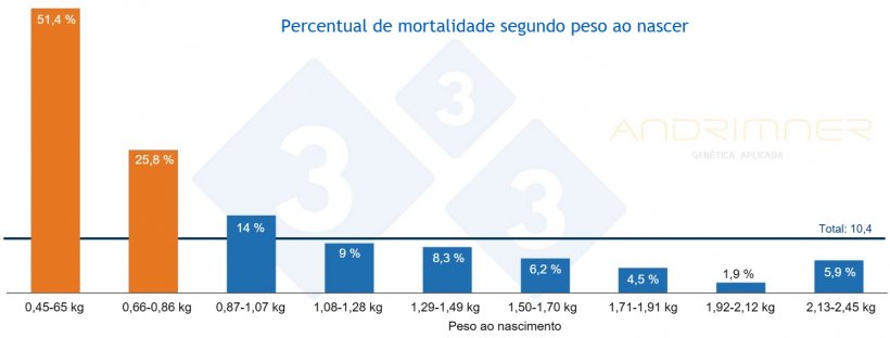 Gr&aacute;fico 3. Percentual de mortalidade segundo peso ao nascer. Fonte: Javier Lorente. Granja comercial, 3.483 leit&otilde;es pesados ​​individualmente 2021.
