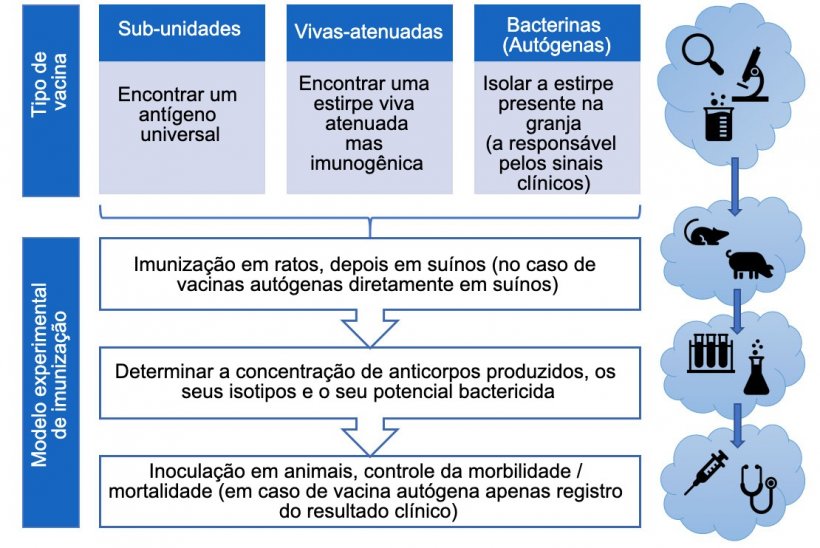 Figura 3. Passos na an&aacute;lise da efic&aacute;cia das vacinas experimentais (por tipo de vacina).
