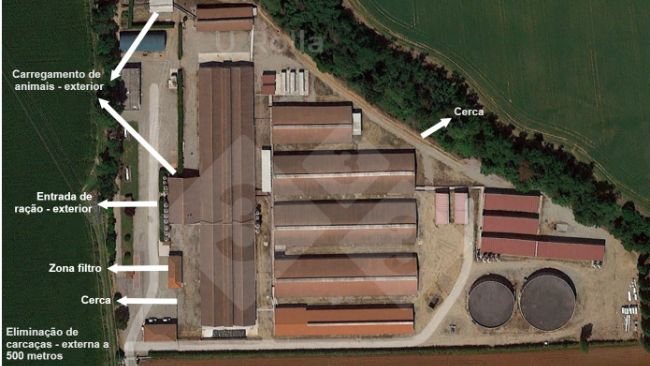 Fig. 1 Vista aérea da granja de matrizes. 