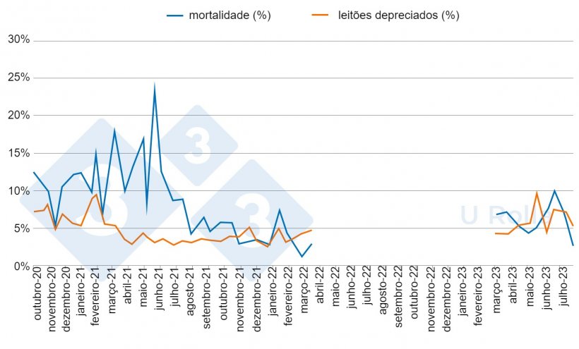 Fig. 5: Mortalidade (%) e propor&ccedil;&atilde;o de leit&otilde;es de segunda categoria desmamados antes (outubro de 2020 a mar&ccedil;o de 2022) e depois (mar&ccedil;o a julho de 2023) do despovoamento/repovoamento.
