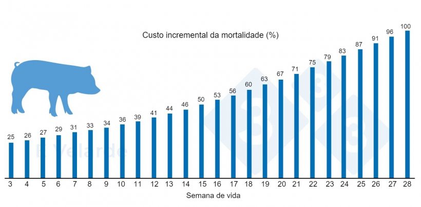 Figura 1. Custo incremental da mortalidade de acordo com a semana de vida. Fonte: Velarde (2023).

