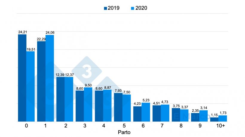 Figura 1. Mortalidade ao parto (%) numa granja onde existe um problema de mortalidade em matrizes jovens resultante de problemas de claudica&ccedil;&atilde;o.
