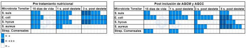 Tabela&nbsp;2.&nbsp;N&uacute;mero de amostras com cultura positiva antes e depois da incorpora&ccedil;&atilde;o de ACGM e AGCC.
