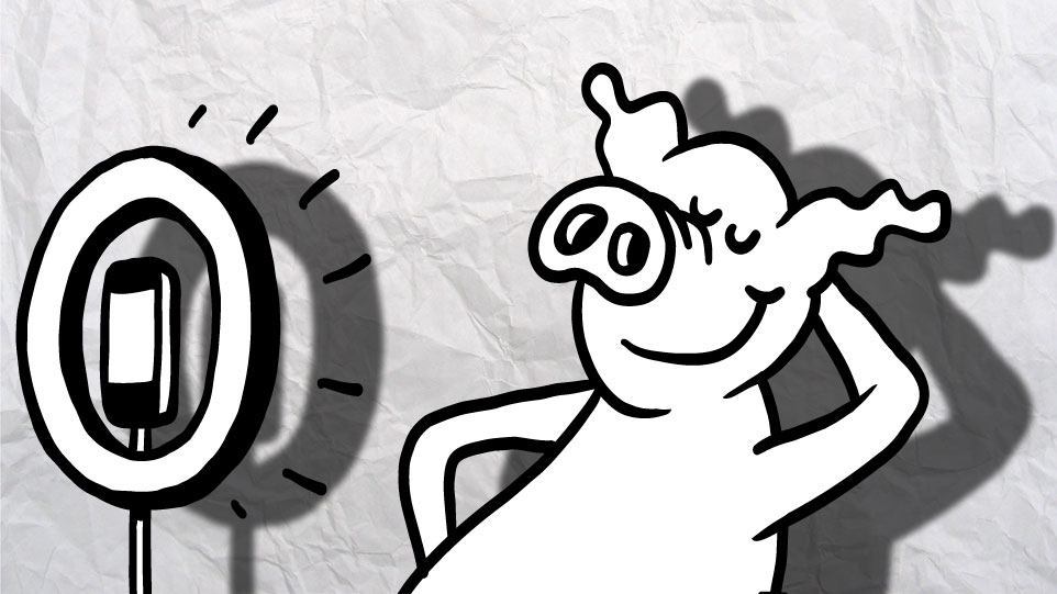 Influenciador suíno