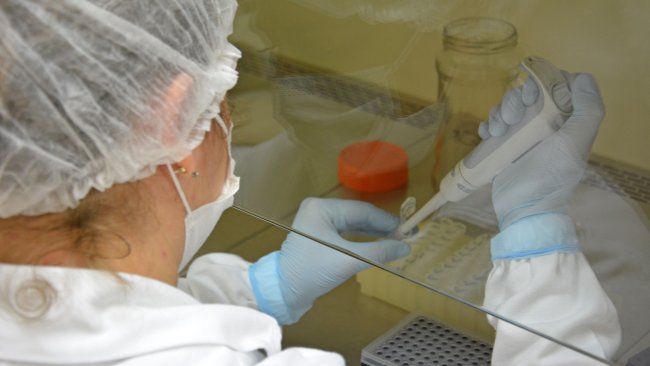 EMBRAPA SUÍNOS E AVES - ANÁLISE COVID-19