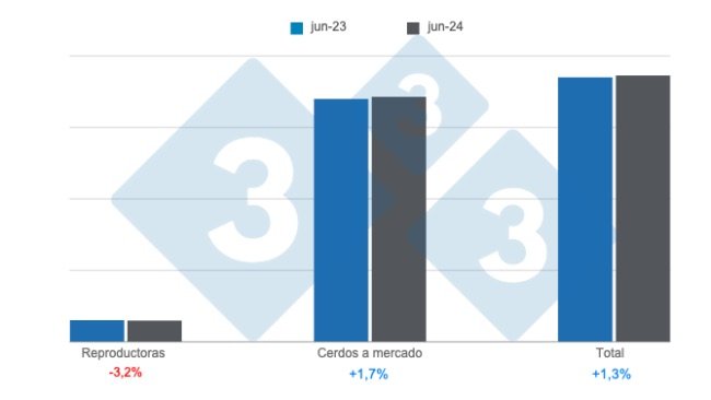 Gráfico 1: Plantel de suínos nos Estados Unidos com data de corte a partir de 1º de junho de 2024, variações anuais. Elaborado pelo Departamento de Economia e Inteligência de Mercado da 333 América Latina com dados do USDA - NASS.