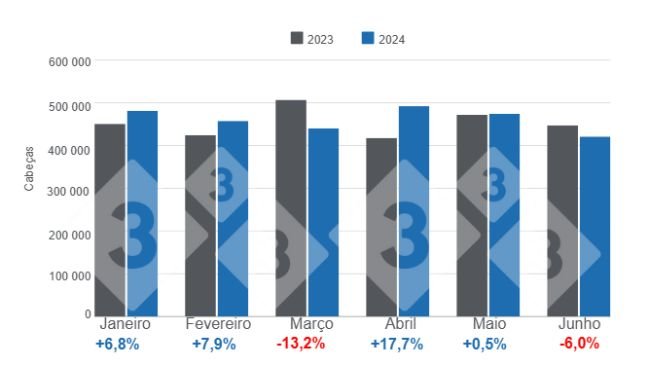Gráfico 1. Abate mensal da carne suína no primeiro semestre de 2024 – variações anuais. Elaborado pelo Departamento de Economia e Inteligência de Mercado com dados do Escritório de Estudos e Políticas Agrárias do Chile (ODEPA).