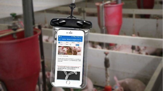 Un móvil dentro de una bolsa estanca.