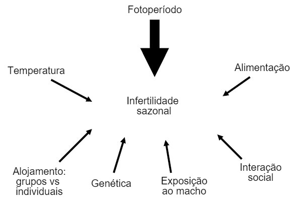 Figura 7. Fatores que influenciam o aparecimento de infertilidade sazonal.
