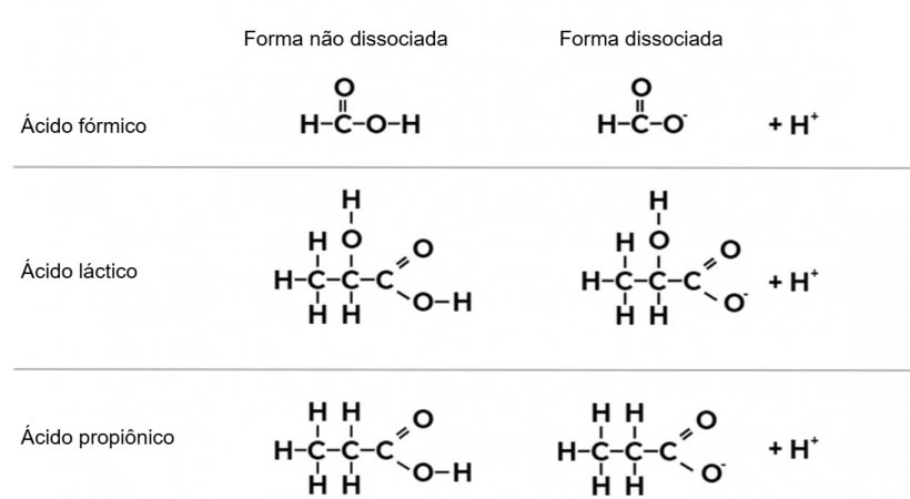 Figura 1. F&oacute;rmula qu&iacute;mica do &aacute;cido f&oacute;rmico, &aacute;cido l&aacute;ctico e &aacute;cido propi&ocirc;nico em suas formas indissociadas e dissociadas.
