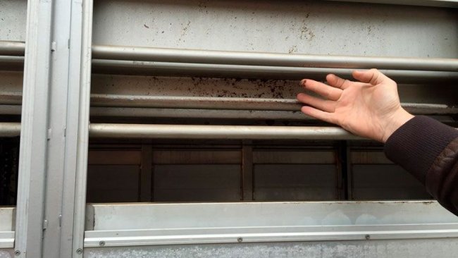 Foto 3: Painéis laterais após a limpeza e desinfecção.