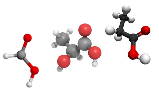 Ácidos orgânicos: ácido fórmico, ácido láctico e ácido propiônico