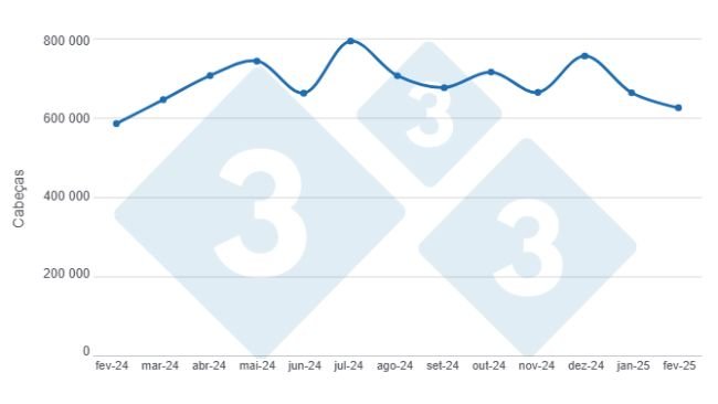Gráfico 1: Evolução do abate mensal de suínos nos últimos 12 meses. Elaborado pelo Departamento de Economia e Sustentabilidade da 333 América Latina com dados da Secretaria de Agricultura, Pecuária e Pesca do Ministério da Economia da Argentina.