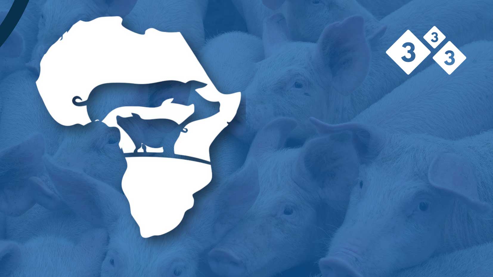 A indústria suína na África: passado e presente