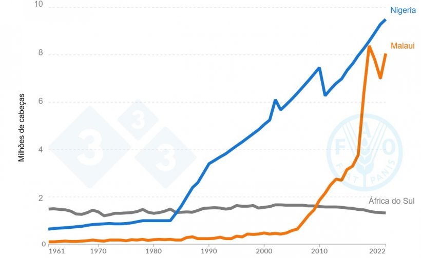Gráfico do censo suíno que mostra a tendência de crescimento na Nigéria, Malaui e África do Sul entre 1961 e 2022. Fonte: Organização das Nações Unidas para a Alimentação e a Agricultura (FAO, 2023).