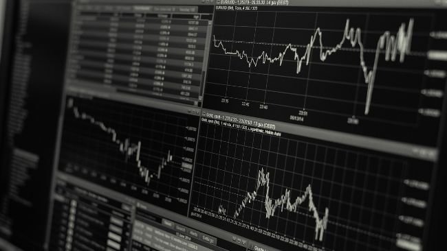 Mercado suíno: impacto da guerra comercial impulsionada por Trump