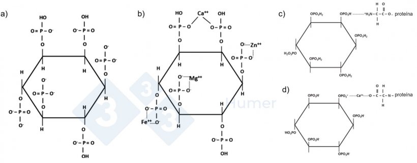 Figura 1. Estrutura do ácido fítico em pH neutro (a); estrutura do ácido fítico quelado com cátions em pH neutro (b); estrutura do ácido fítico quelado com proteínas em pH ácido (c) e em pH neutro (d). Adaptado de Humer et al. (2014).