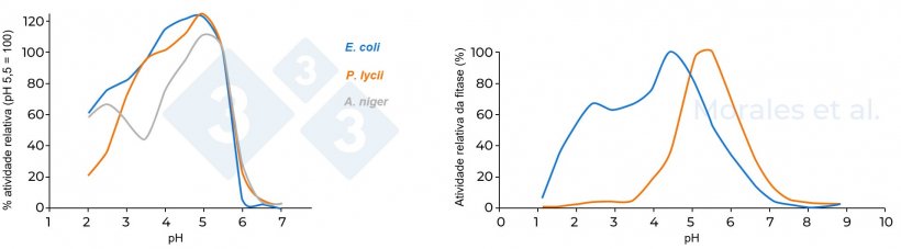 Figura 3. Atividade relativa de diferentes fitases. A figura à esquerda compara três fitases (A. niger, E. coli e P. lycii), tomando como referência uma atividade de 100% em pH 5,5 (Kumar et al., 2003). A figura à direita compara duas fitases (fitase microbiana de E. coli e fitase fúngica de P. lycii); a atividade máxima de fitase registrada foi considerada como 100% (Morales et al., 2011).