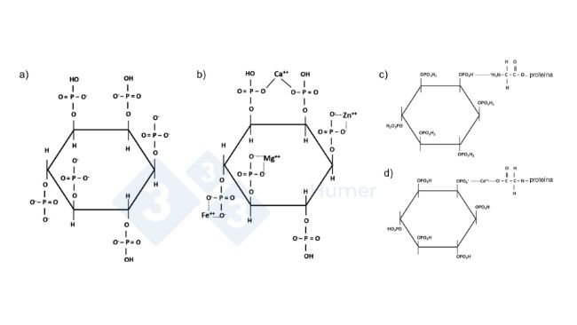 Figura 1. Estrutura do ácido fítico em pH neutro (a); estrutura do ácido fítico quelado com cátions em pH neutro (b); estrutura do ácido fítico quelado com proteínas em pH ácido (c) e em pH neutro (d). Adaptado de Humer et al. (2014).