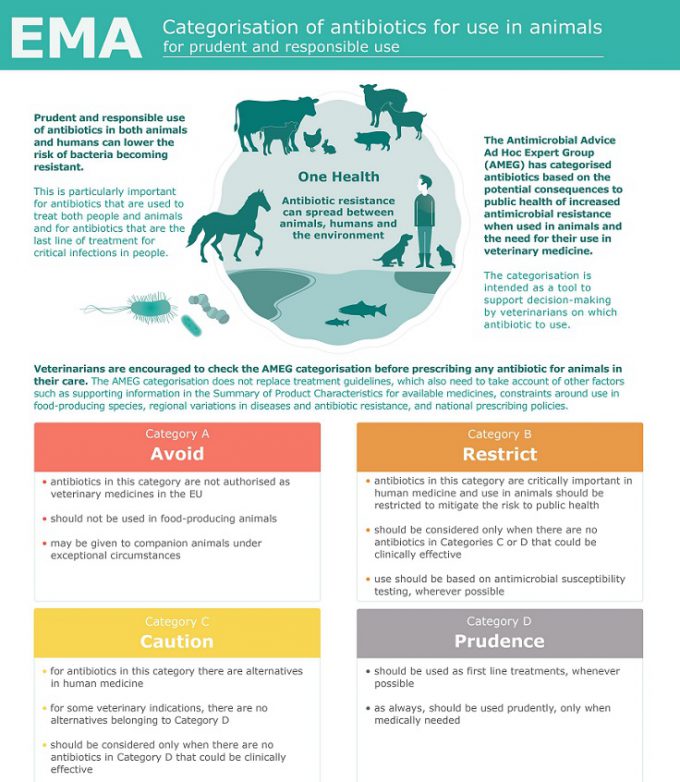 Antimicrobianos - Uso em animais
