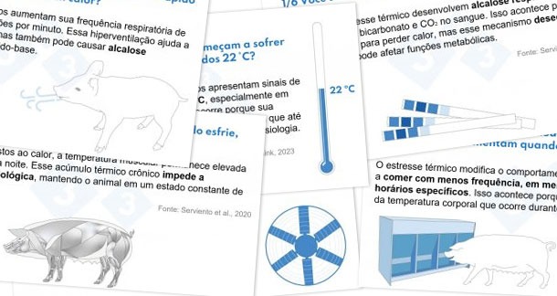 Perguntas-chave sobre o estresse térmico: fisiologia e comportamento