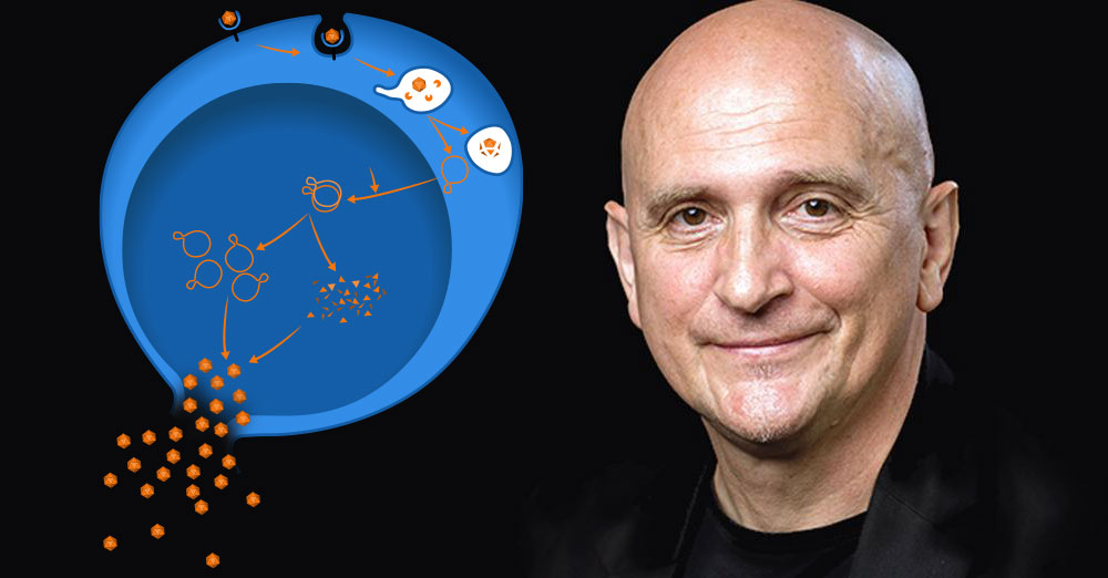 Hans Nauwynck: entendendo os vírus desde a célula até a granja