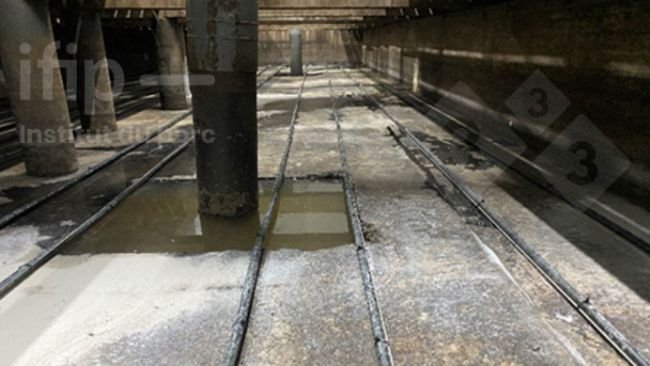 Lisiotermia no fundo da fossa em condições experimentais. Fonte: IFIP.