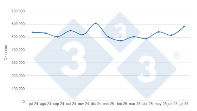 Gráfico 1: Evolução do abate de suínos nos últimos 12 meses. Elaborado pelo Departamento de Economia e Sustentabilidade da 333 Latinoamérica com dados do DANE.