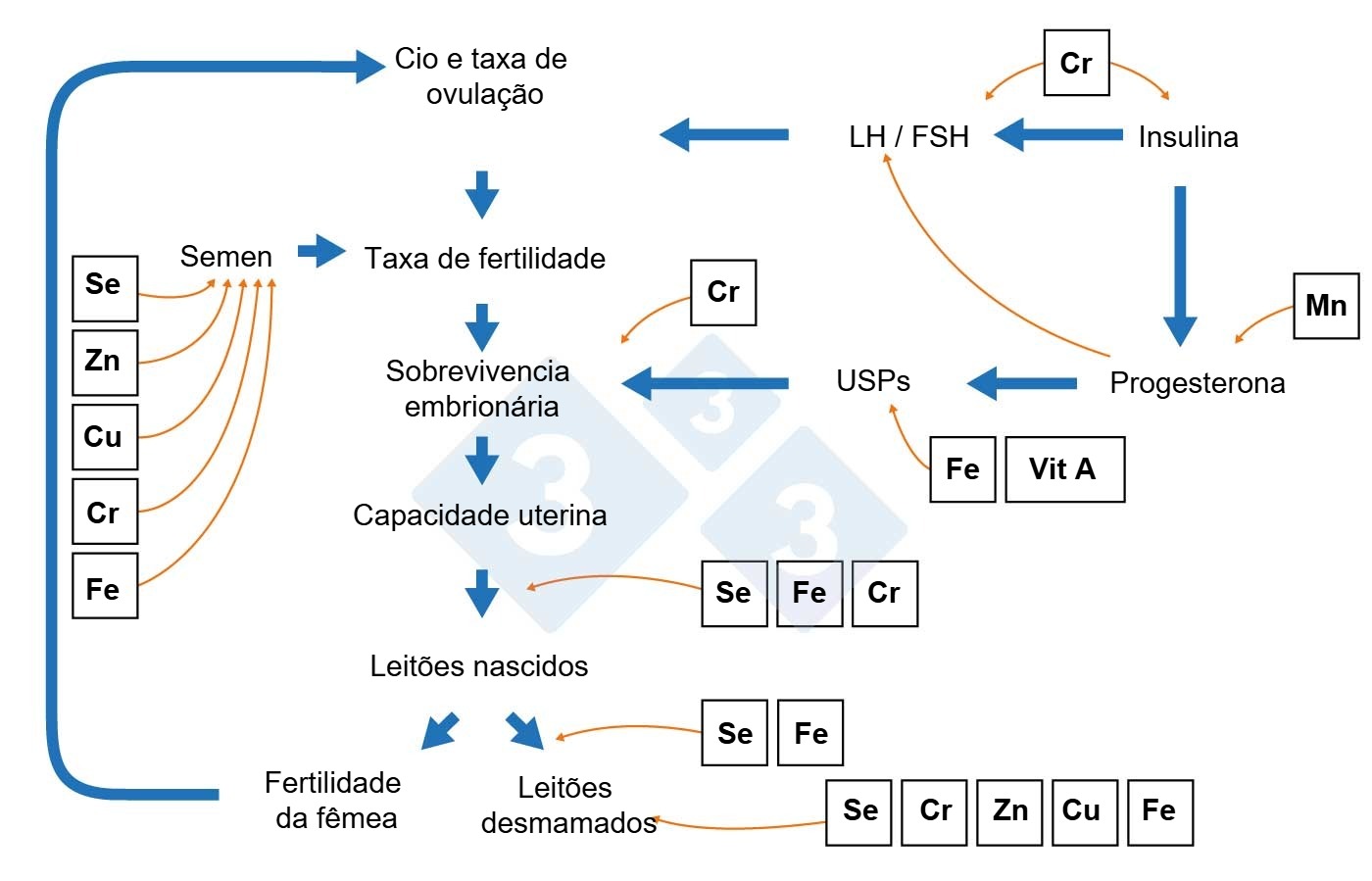 Componentes de la productividad de la cerda
