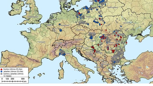 Figura 1. Surtos de peste su&iacute;na africana (gen&oacute;tipo II) na Alb&acirc;nia, Pa&iacute;ses B&aacute;lticos, B&oacute;snia-Herzegovina, Bulg&aacute;ria, Alemanha, Gr&eacute;cia, It&aacute;lia, Kosovo, Cro&aacute;cia, Mold&aacute;via, Montenegro, Maced&ocirc;nia do Norte, Pol&ocirc;nia, Rom&ecirc;nia, Su&eacute;cia, S&eacute;rvia, Eslov&aacute;quia, Rep&uacute;blica Tcheca, Ucr&acirc;nia e Hungria (20/08/2024 a 20/08/2025).&nbsp;Fonte dos dados: ADIS, TSN (em 20/08/2025 &ndash; 08h40).
