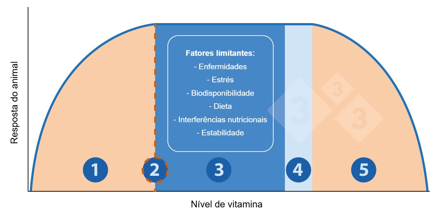 Relación entre el nivel de vitamina y la respuesta del animal