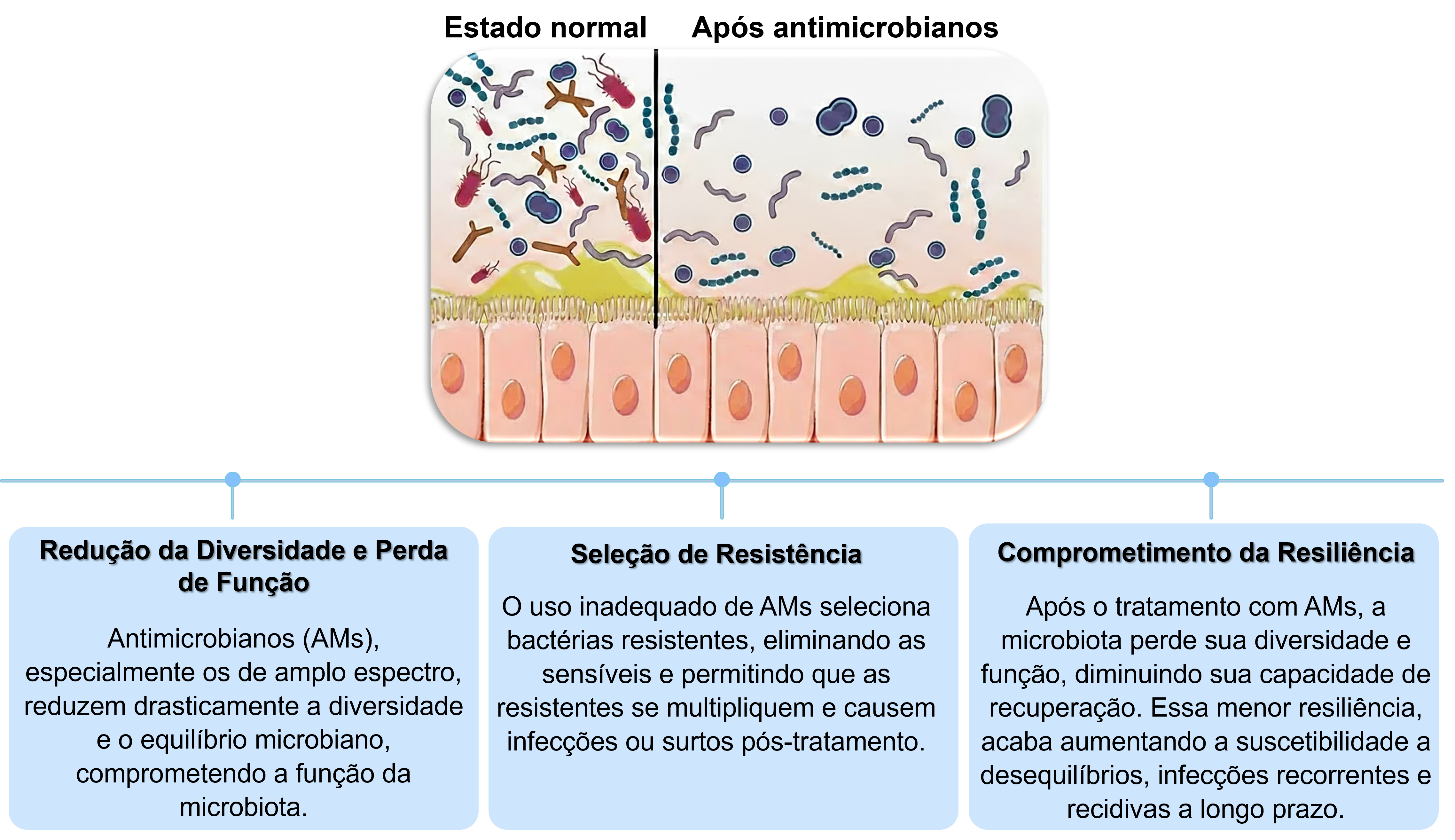 Fonte: Seekatz AM et al, 2022