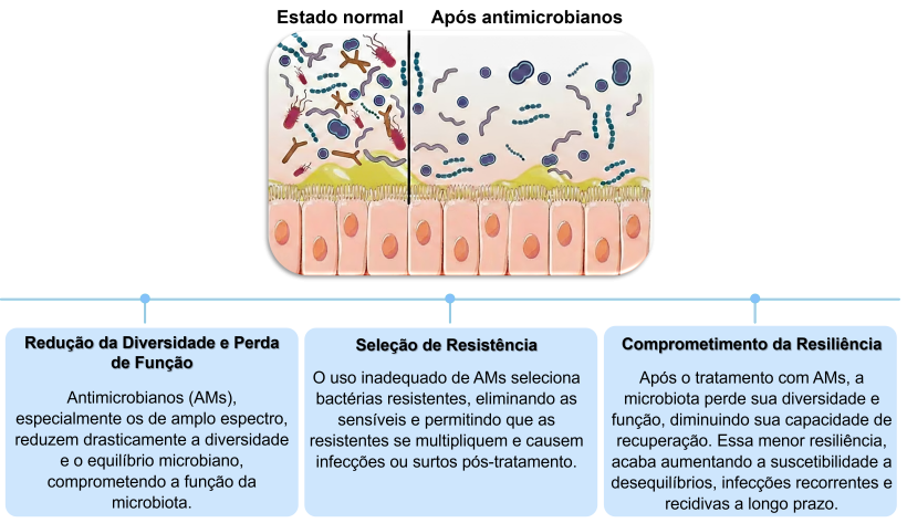 Fonte: Seekatz AM et al, 2022