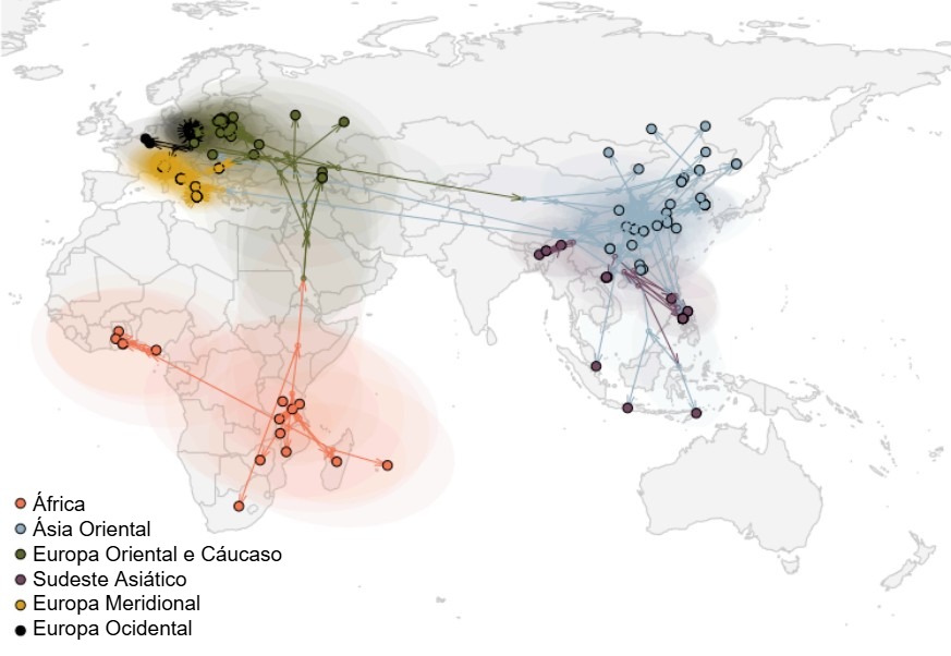 Propagación global del virus de la PPA