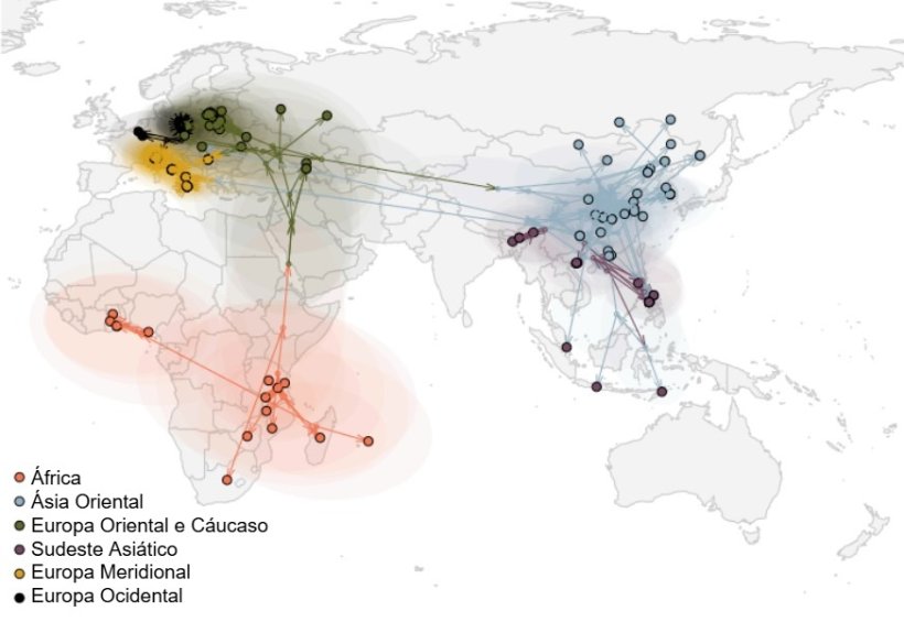 Figura 2. Propagação global do vírus da PSA (Rossi et al., bioRxiv 2025).