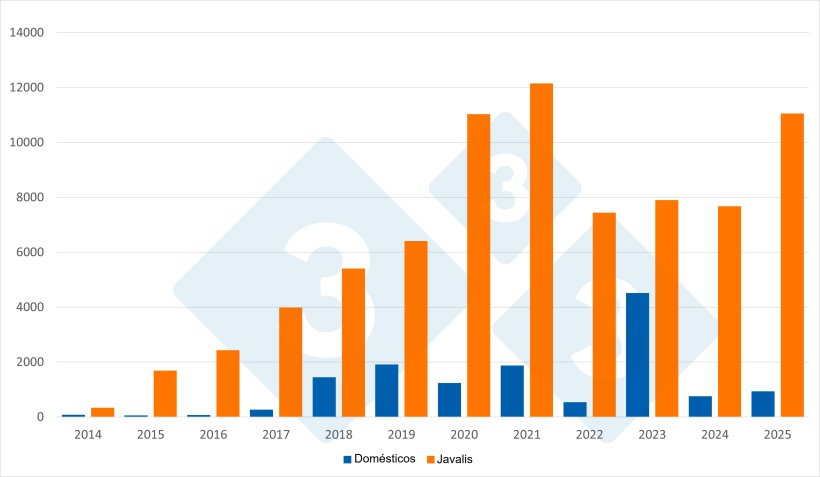 Número total de focos de PSA em javalis e suínos domésticos na Europa (excluindo a Rússia). Fonte: 333 com base em dados do ADIS.