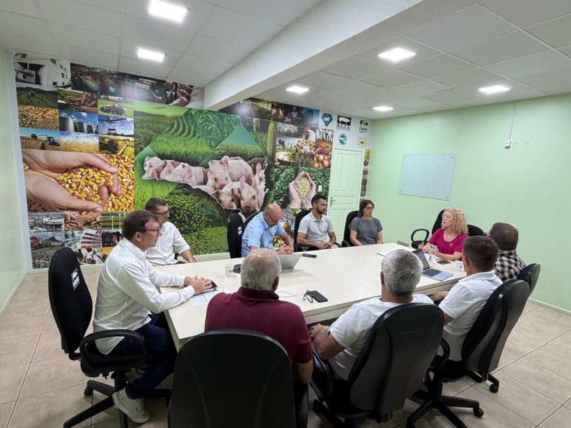 Fonte: Divulga&ccedil;&atilde;o ACCS.
