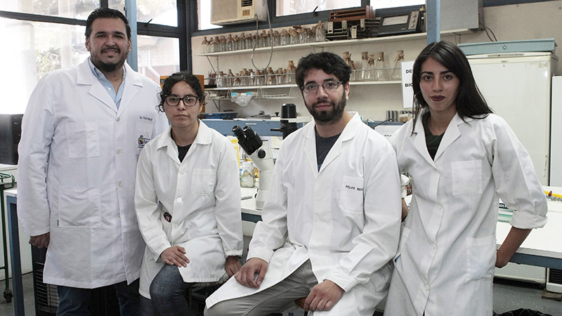 Equipe de pesquisadores da Universidade do Chile.
