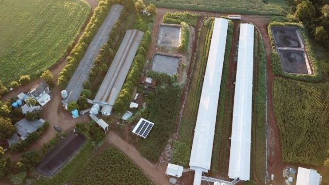 Vista aérea de uma propriedade contemplada integralmente pelos projetos de apoio à suinocultura.