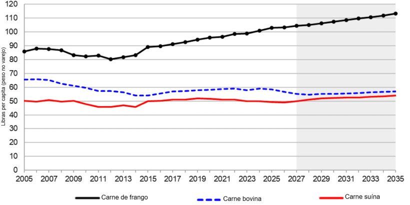 Consumo de carne per capita nos EUA, 2005&ndash;2035. Fonte: USDA.

