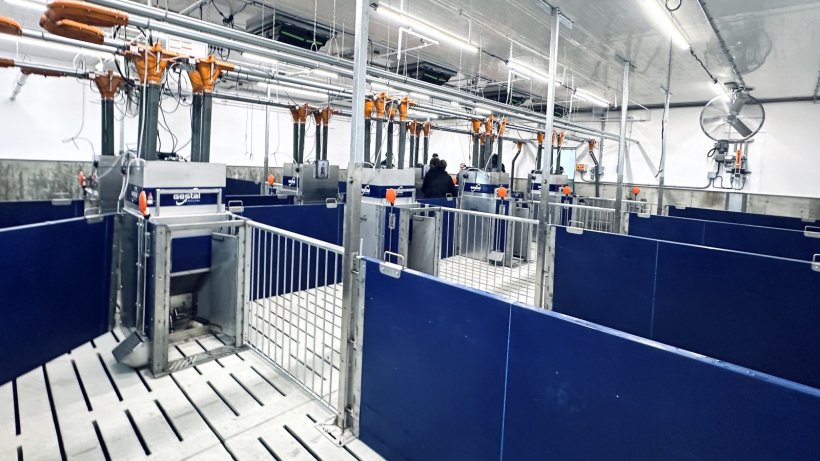 Imagem 2. Evolu&ccedil;&atilde;o dos comedouros individuais de precis&atilde;o com alimenta&ccedil;&atilde;o individualizada.
