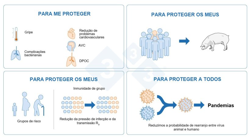 Figura 4. Por que devemos nos vacinar contra a gripe?
